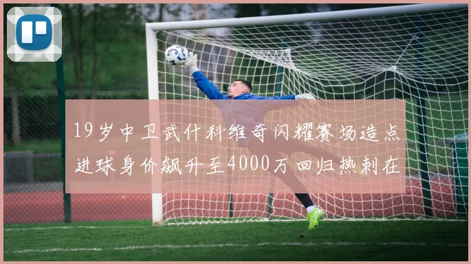 19岁中卫武什科维奇闪耀赛场造点进球身价飙升至4000万回归热刺在即