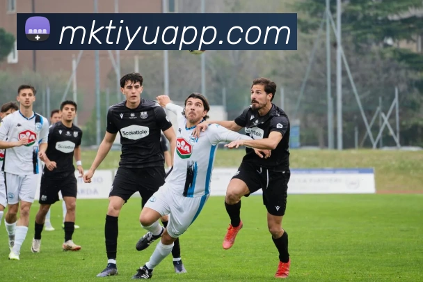 App Interface Preview