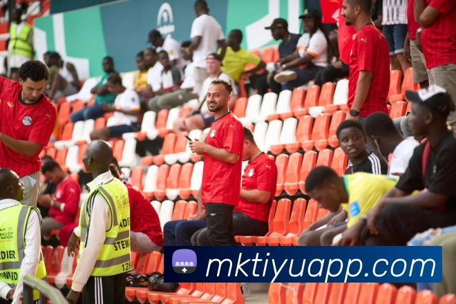 MK体育APP 封面图