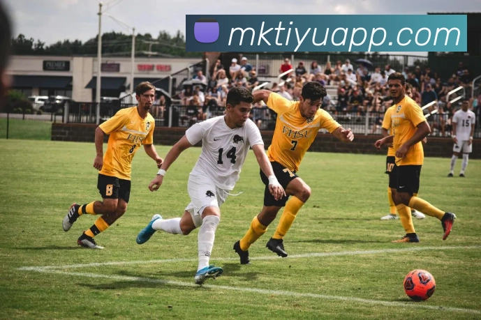 数据防护可视化