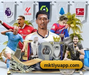 MK体育 APP | mksports